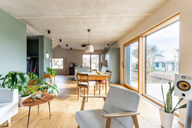 Großes, Offenes Modernes Wohnzimmer mit grüner Wandfarbe, dunklem Holzboden, freistehendem TV und braunem Boden in Frankfurt am Main