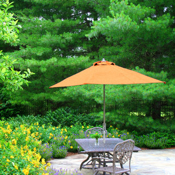 Evergreen Privacy Screens | A Fencing Alternative