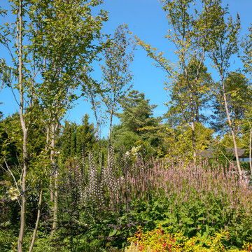 Windermere Garden