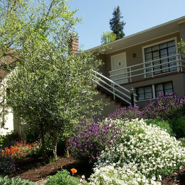 Broadway Terrace Hillside