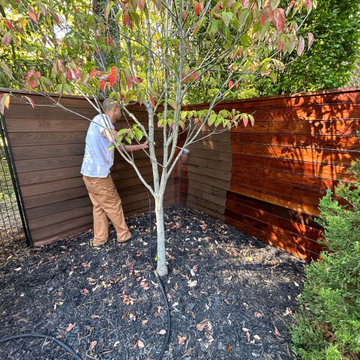 Exterior Staining 2019 Home Of The Year