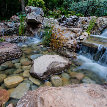 Pond Overhaul - Bedminster, NJ