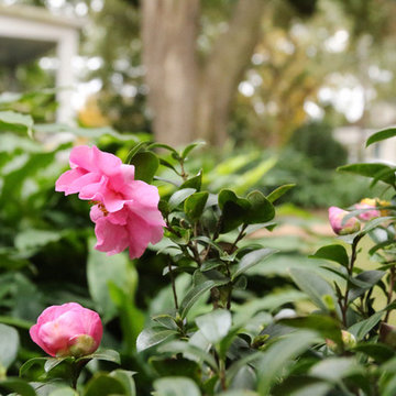 Landscape Design