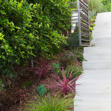 Larissa Drive Drought Tolerant Garden