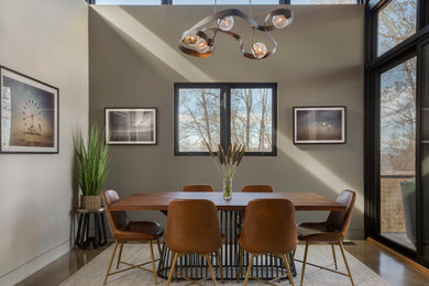 Стильный дизайн: кухня-столовая среднего размера в стиле модернизм с серыми стенами и сводчатым потолком - последний тренд