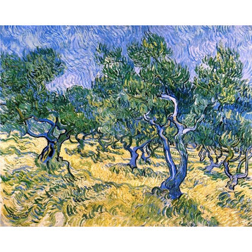 Vincent Van Gogh Olive Grove, 20"x25" Wall Decal