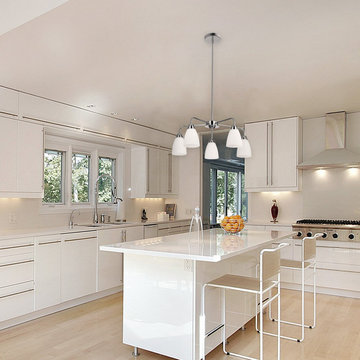 Candice 5-Light Chrome Chandelier with White Glass Shades