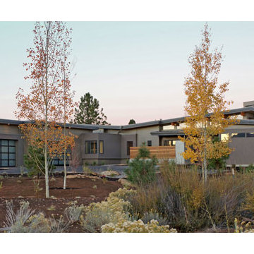 Modern Luxury Ranch House Plan 9772