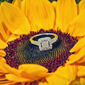 Yana Gild's photo