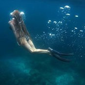 Maike Harm van Holden's photo