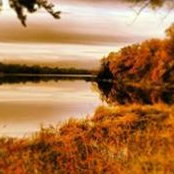 Trevor Hanson's photo