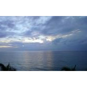 Joanna Small's photo