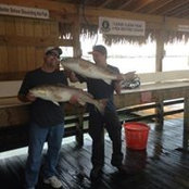 Chris Boggs's photo
