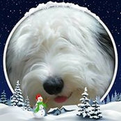 Barb Grobe's photo