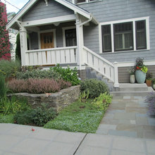 front yard