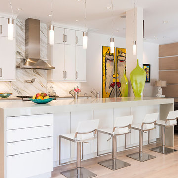 Sleek White Modern