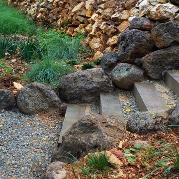 Steps & Pathways