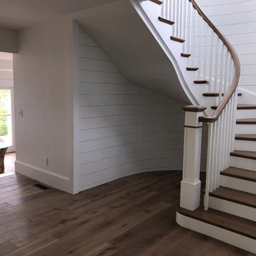 Marion Street Late Summer 2017- Spring 2018