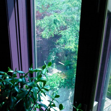 The Purple House