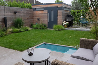 Kleiner, Geometrischer Moderner Garten im Sommer, neben dem Haus mit Sichtschutz, direkter Sonneneinstrahlung, Dielen und Holzzaun in Bonn