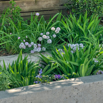 Bennington Heights Garden