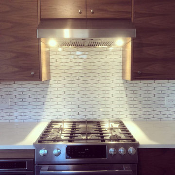 Previous projects