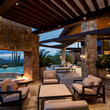 Saguaro Forest Contemporary