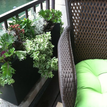 Balcony Gardens