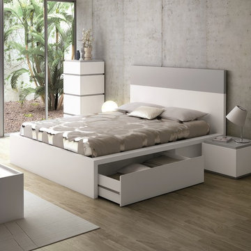 2013 Catalog