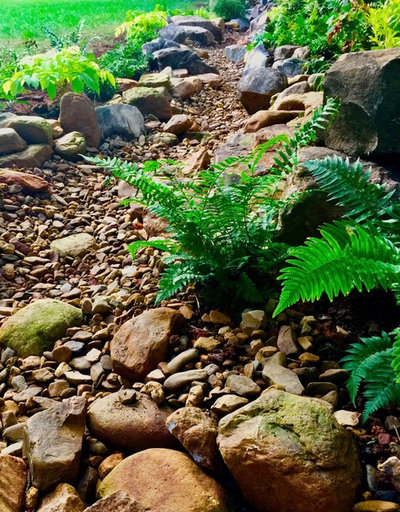 Сад by Jay Sifford Garden Design