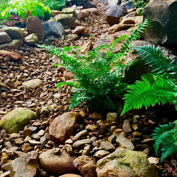 Postage Stamp Front Yard/ Backyard Creek Bed