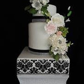 Patty Harvey Woller's photo