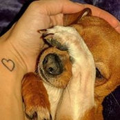 Aly Hag's photo