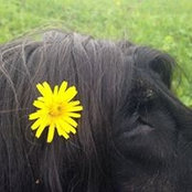 Verena Inderbitzin's photo