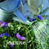 Foto von Joanne Mortman