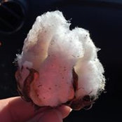 Patty Rowley's photo