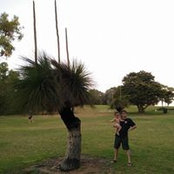 Long Guans foto