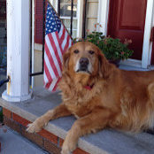 Joe L's photo