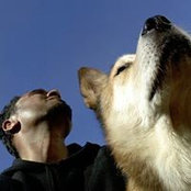 Rajesh Reddy's photo