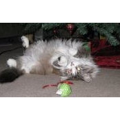 Melodie Miller-Mason's photo