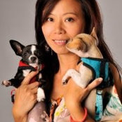 Foto von Xu Qing