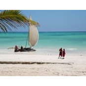 Hammed Amusa's photo