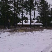 Foto von Bonnie Stephens