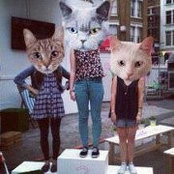 Andy Kurland's photo