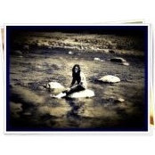 Afreen Chandrasekar's photo