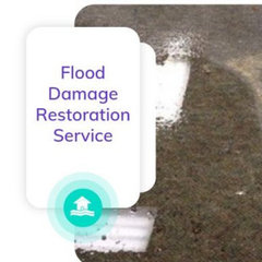 Water Damage Restoration Toowoomba