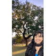 urban forest solutions (tree care) #908102's profile photo