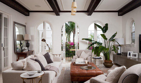 Clever Hacks for the Lazy Indoor-Plant Lover