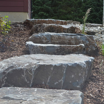 New yard Design