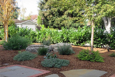 Photo of a large contemporary side yard partial sun xeriscape for spring in San Francisco with a garden path and brick pavers.